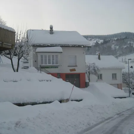 La Petite Bresse Holiday home La Bresse